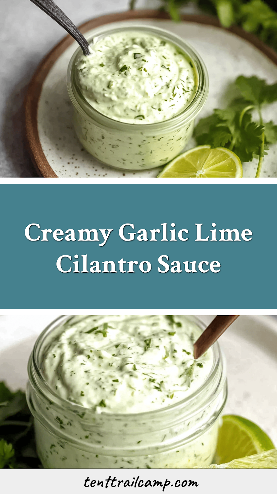 Creamy Garlic Lime Cilantro Sauce