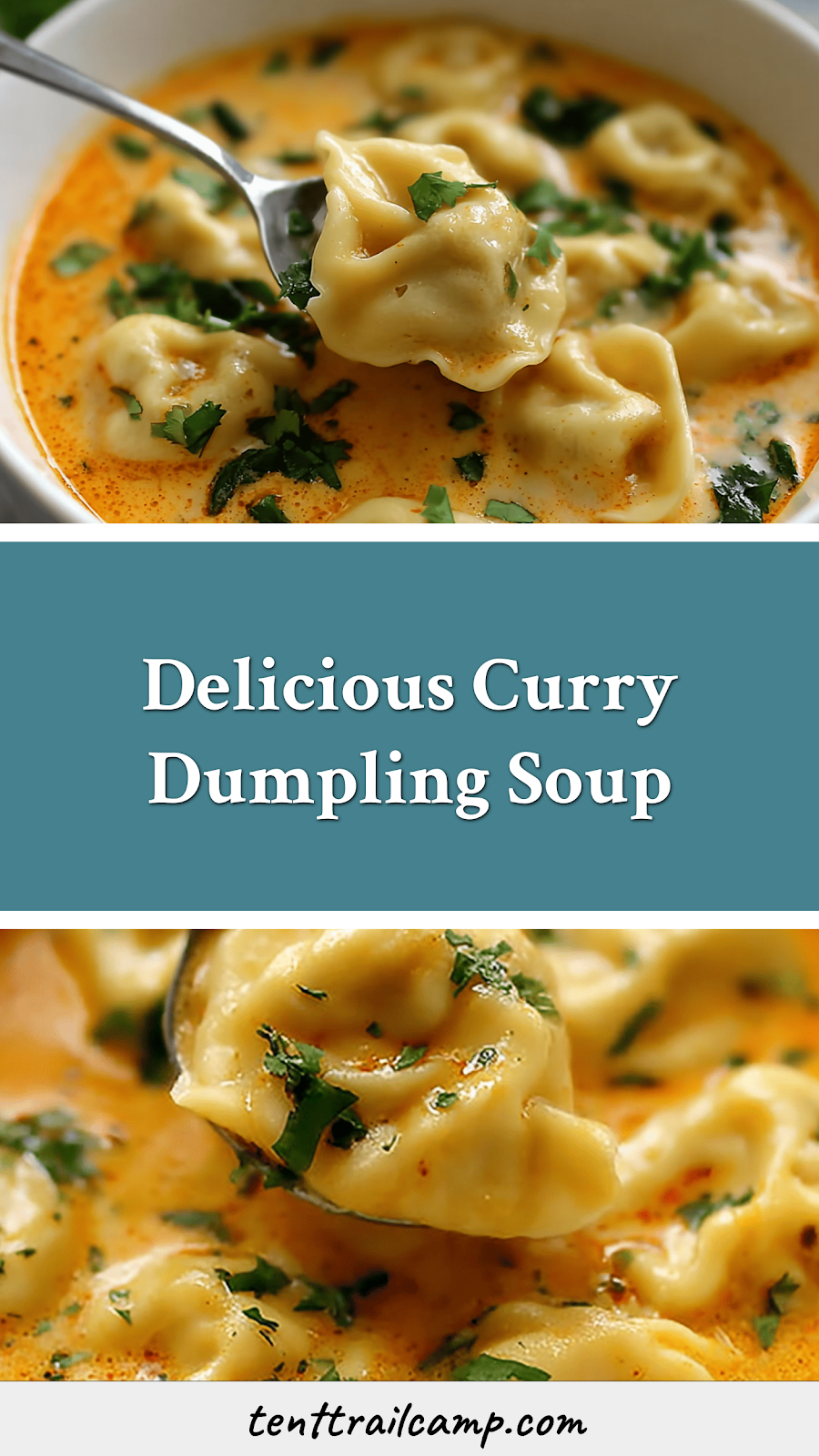 Delicious Curry Dumpling Soup