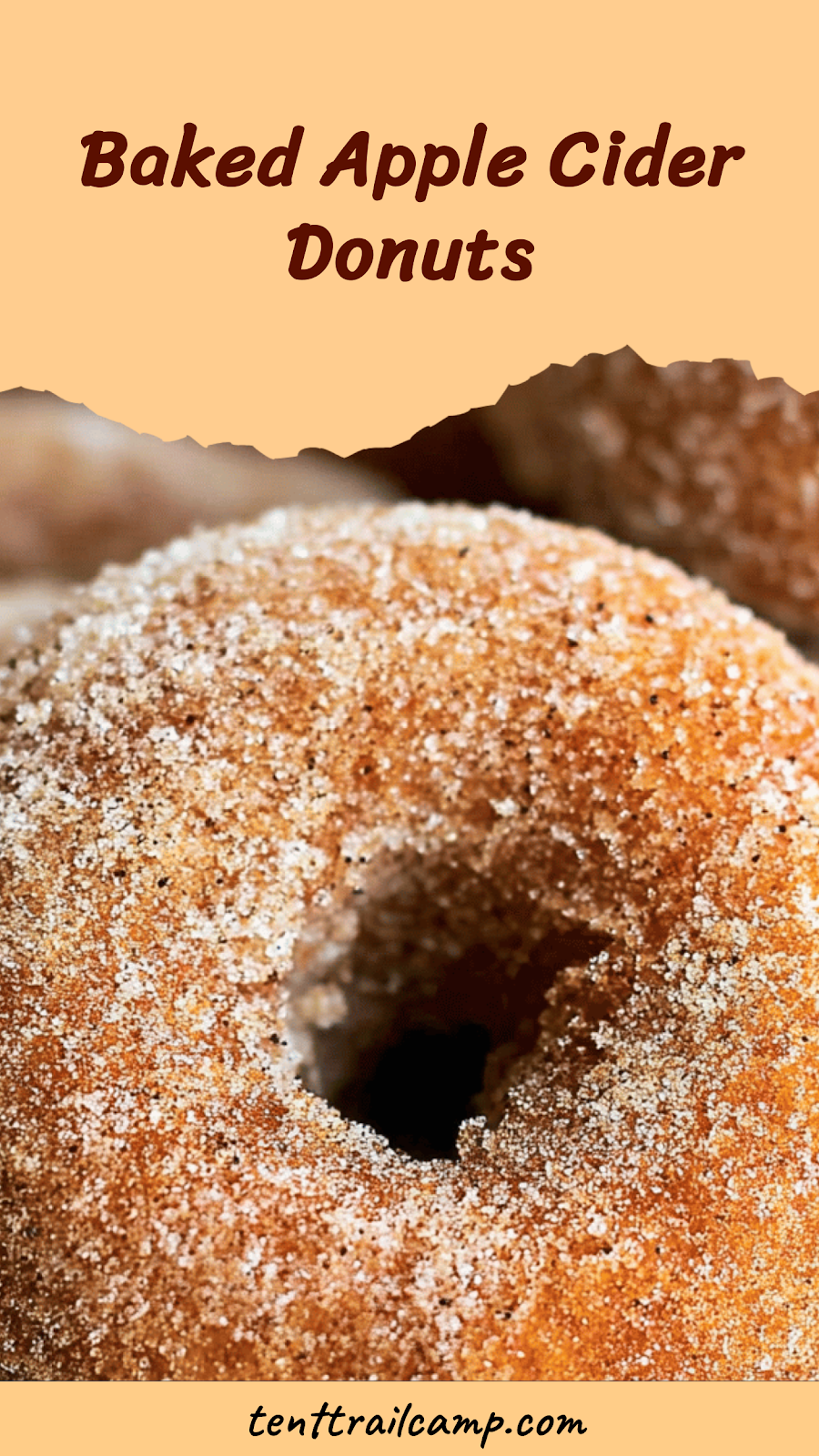 Baked Apple Cider Donuts