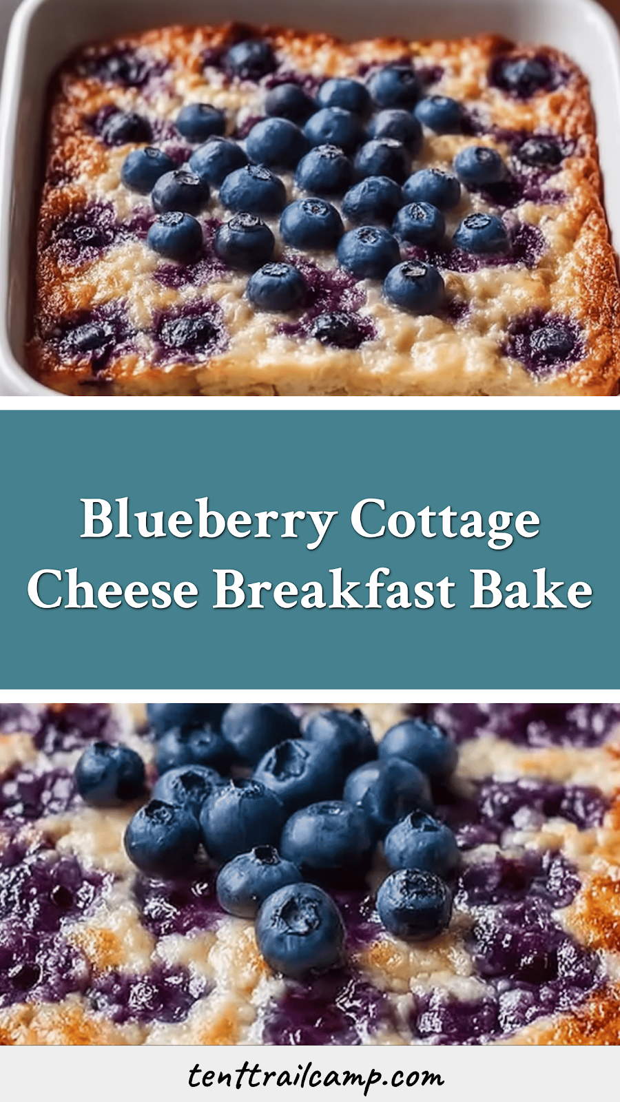 Blueberry Cottage Cheese Breakfast Bake
