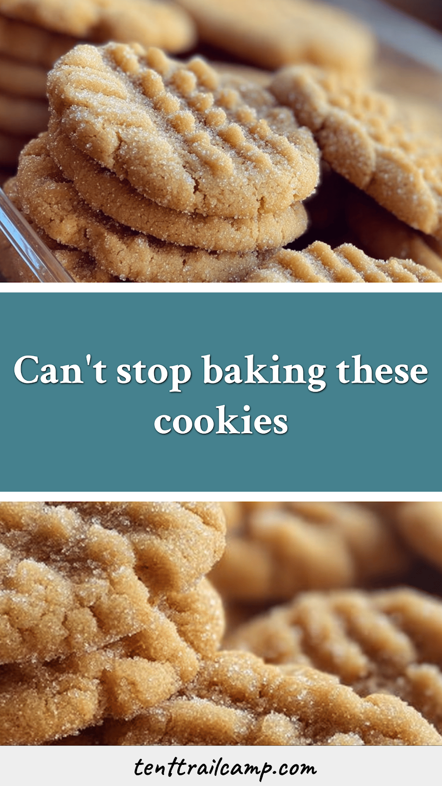 Can't stop baking these cookies