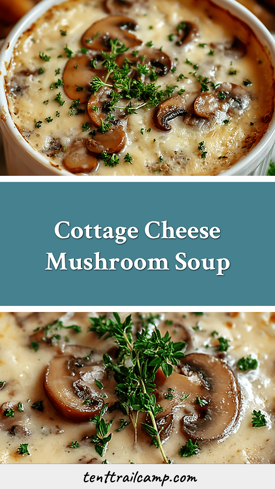Cottage Cheese Mushroom Soup