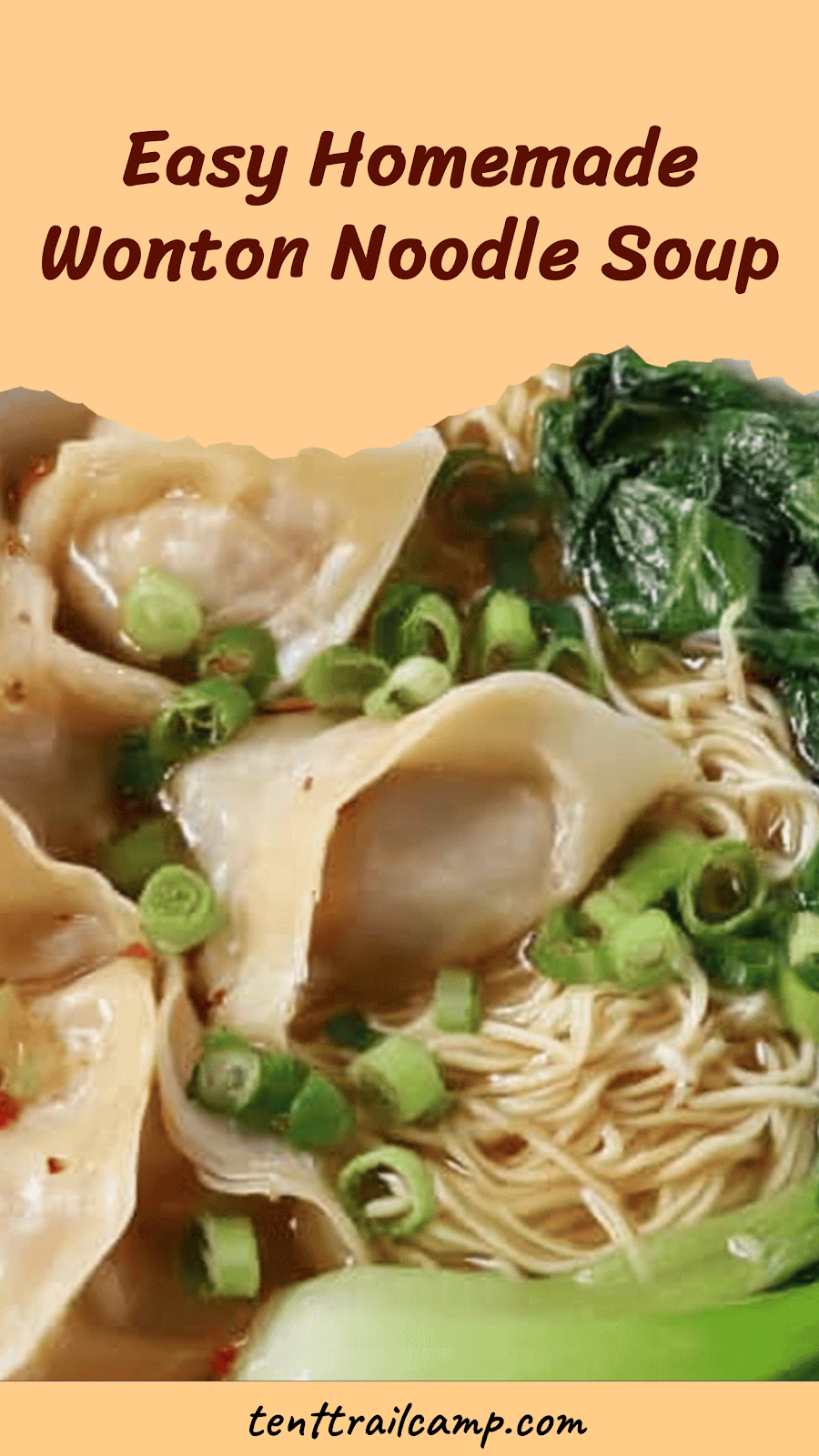 Easy Homemade Wonton Noodle Soup