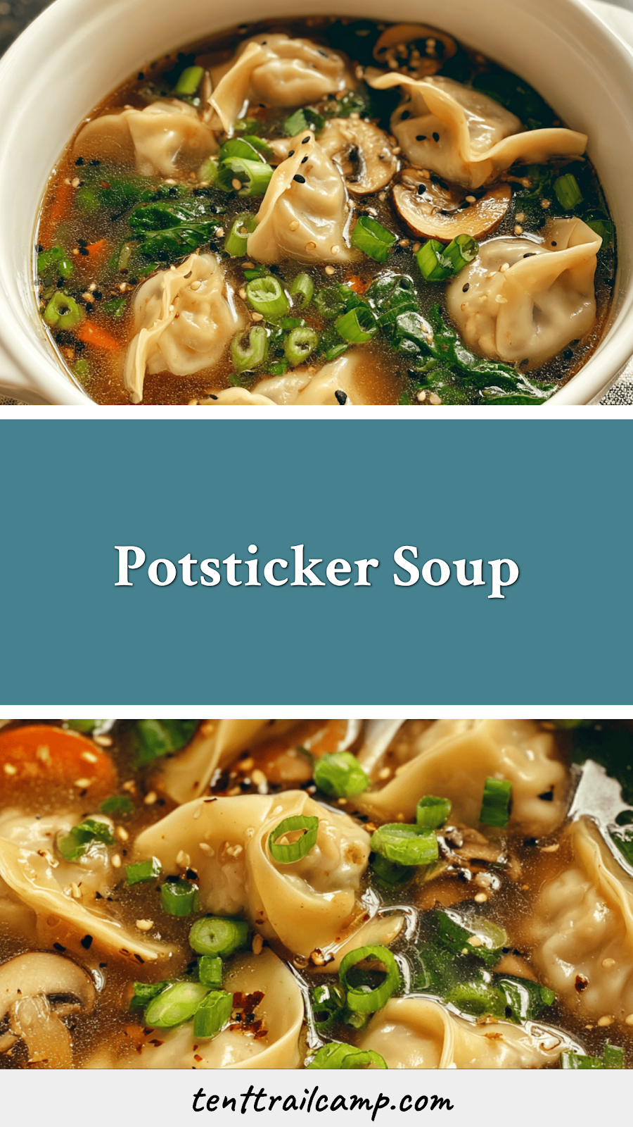 Potsticker Soup