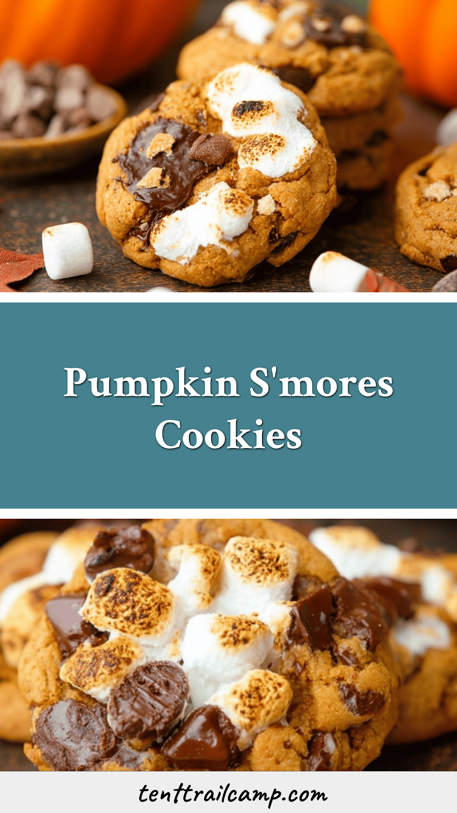 Pumpkin S'mores Cookies