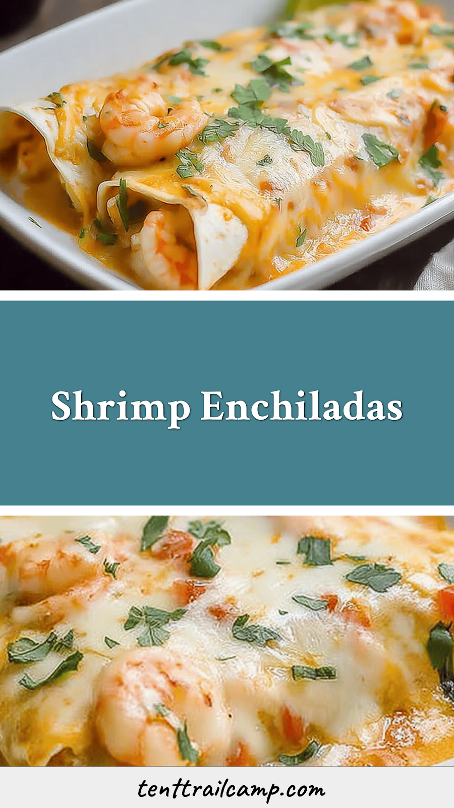 Shrimp Enchiladas