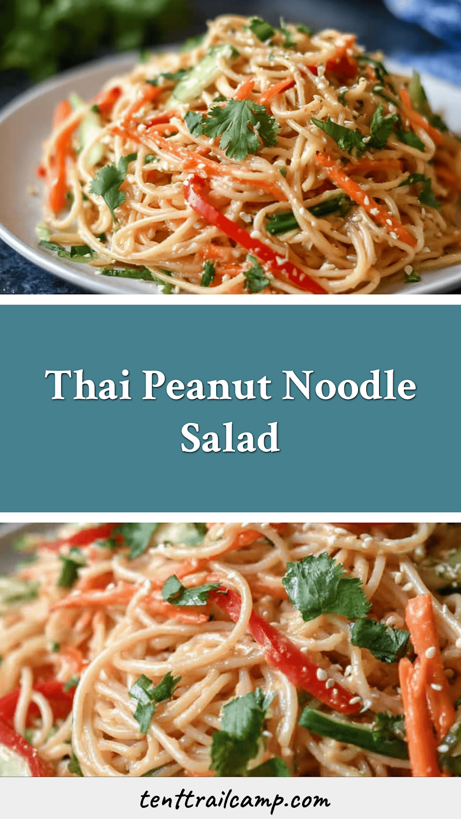 Thai Peanut Noodle Salad