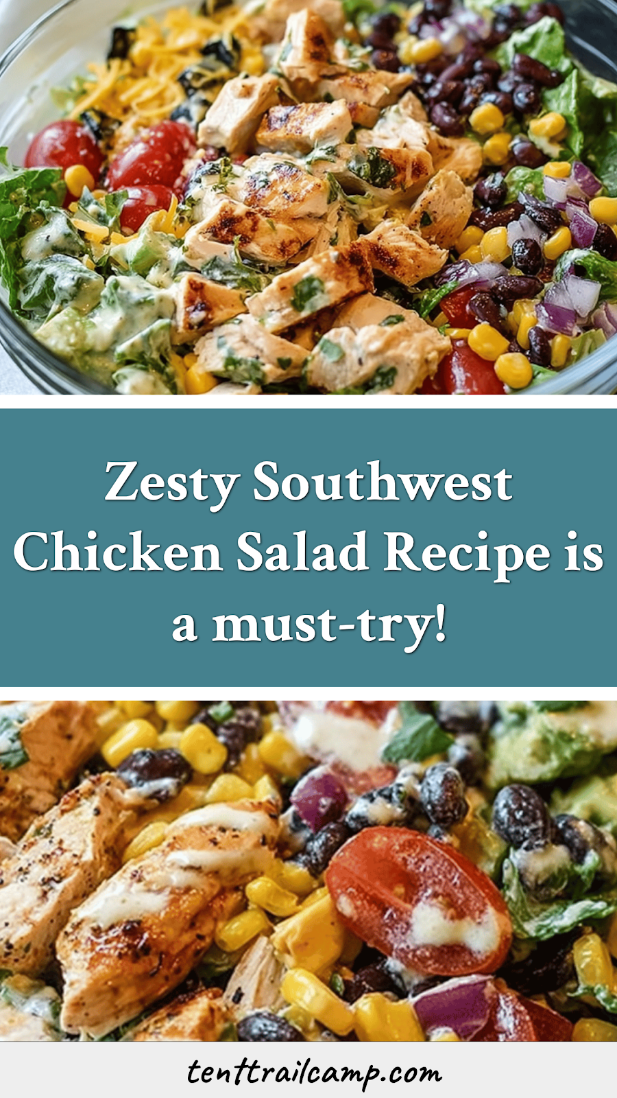 Zesty Southwest Chicken Salad Recipe is a must-try!