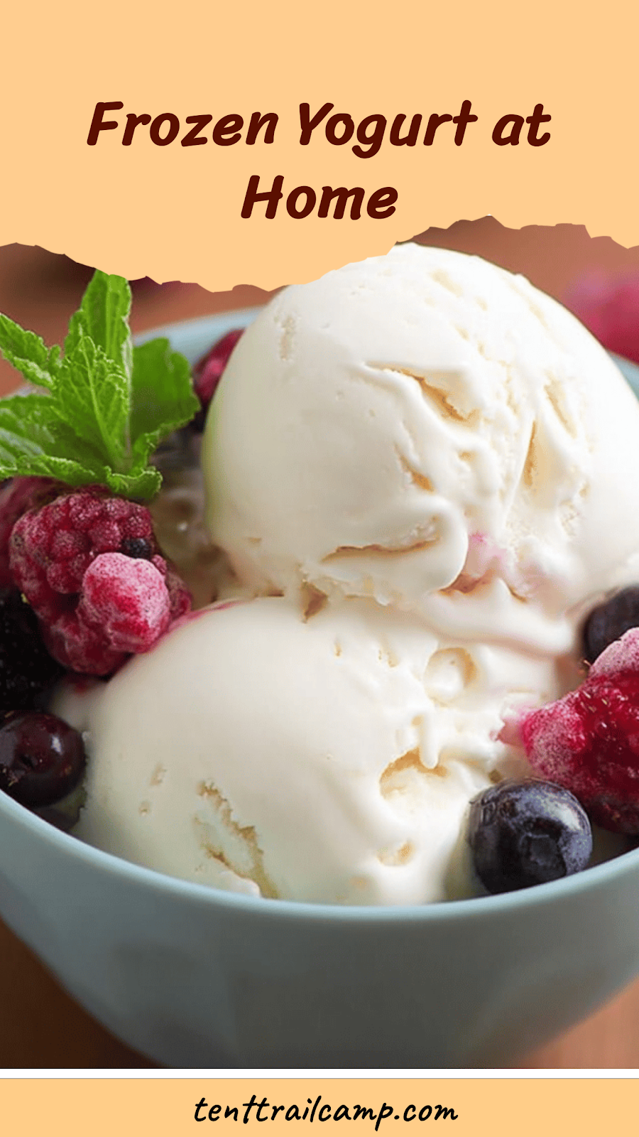 Frozen Yogurt at Home