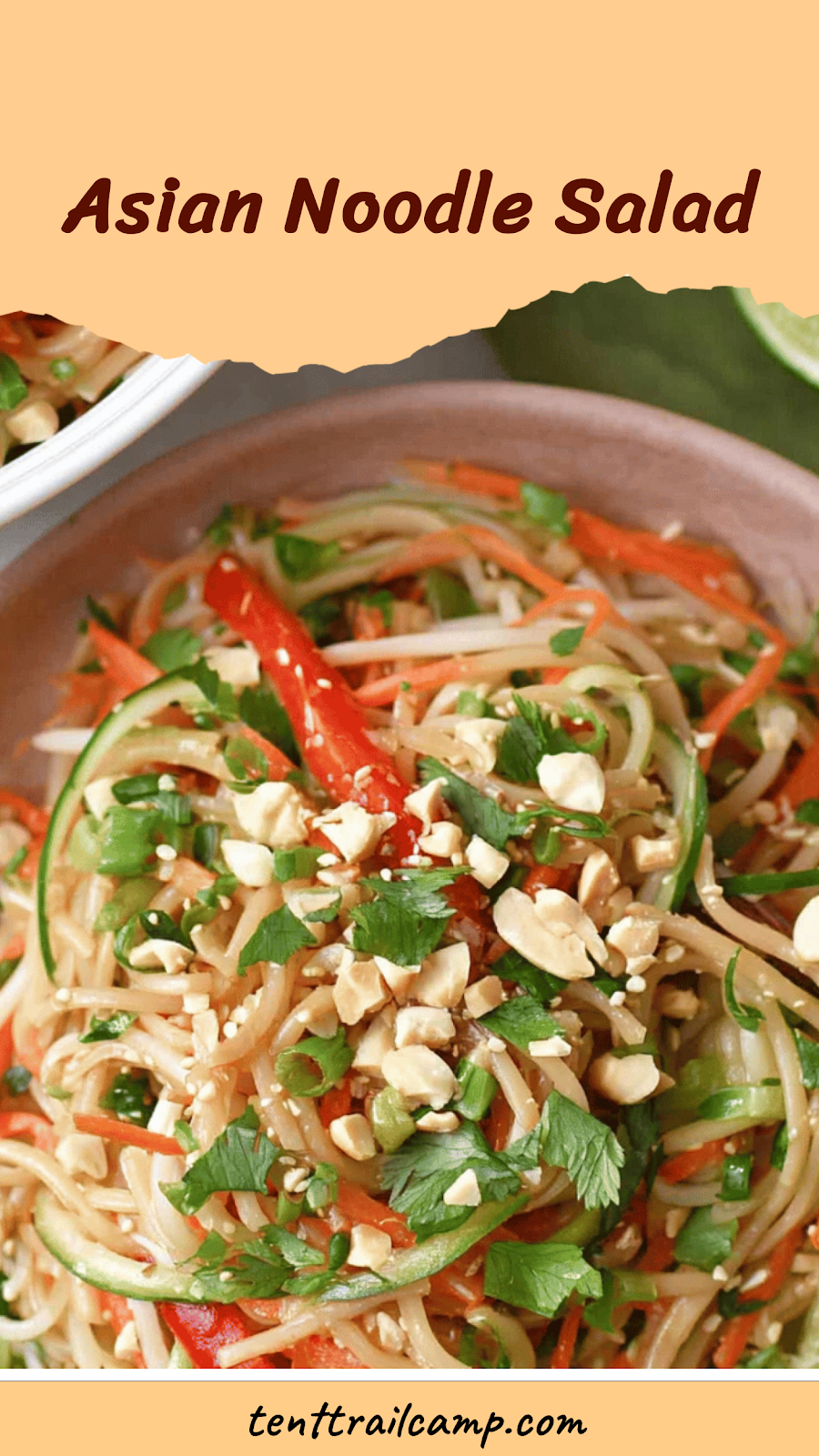 Asian Noodle Salad